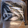 sea frozen mackerel whole frozen mackerel fish for human use